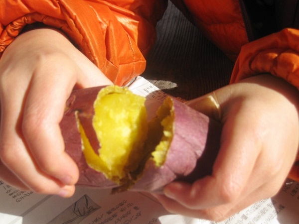 もうお腹いっぱい!焼き芋を冷凍保存する方法